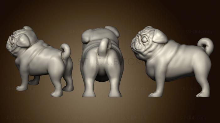 3D model Pack Pug (STL)